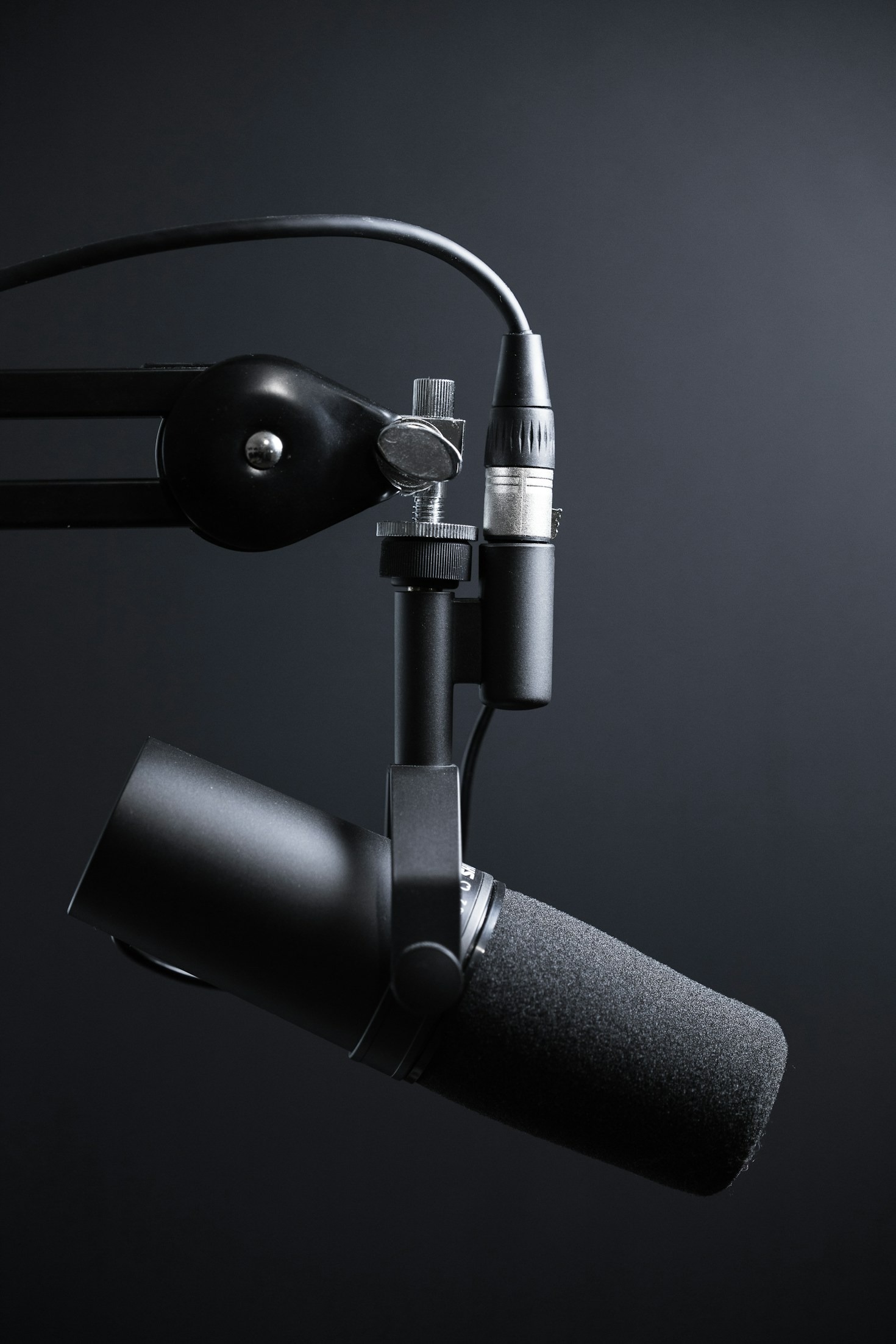 Behind The Mic Of The Pulse